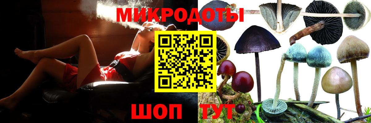 Гай  Галлюциногенные грибы Cubensis  где найти наркотики  Вход с VPN 